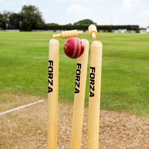 Cricket Stumps