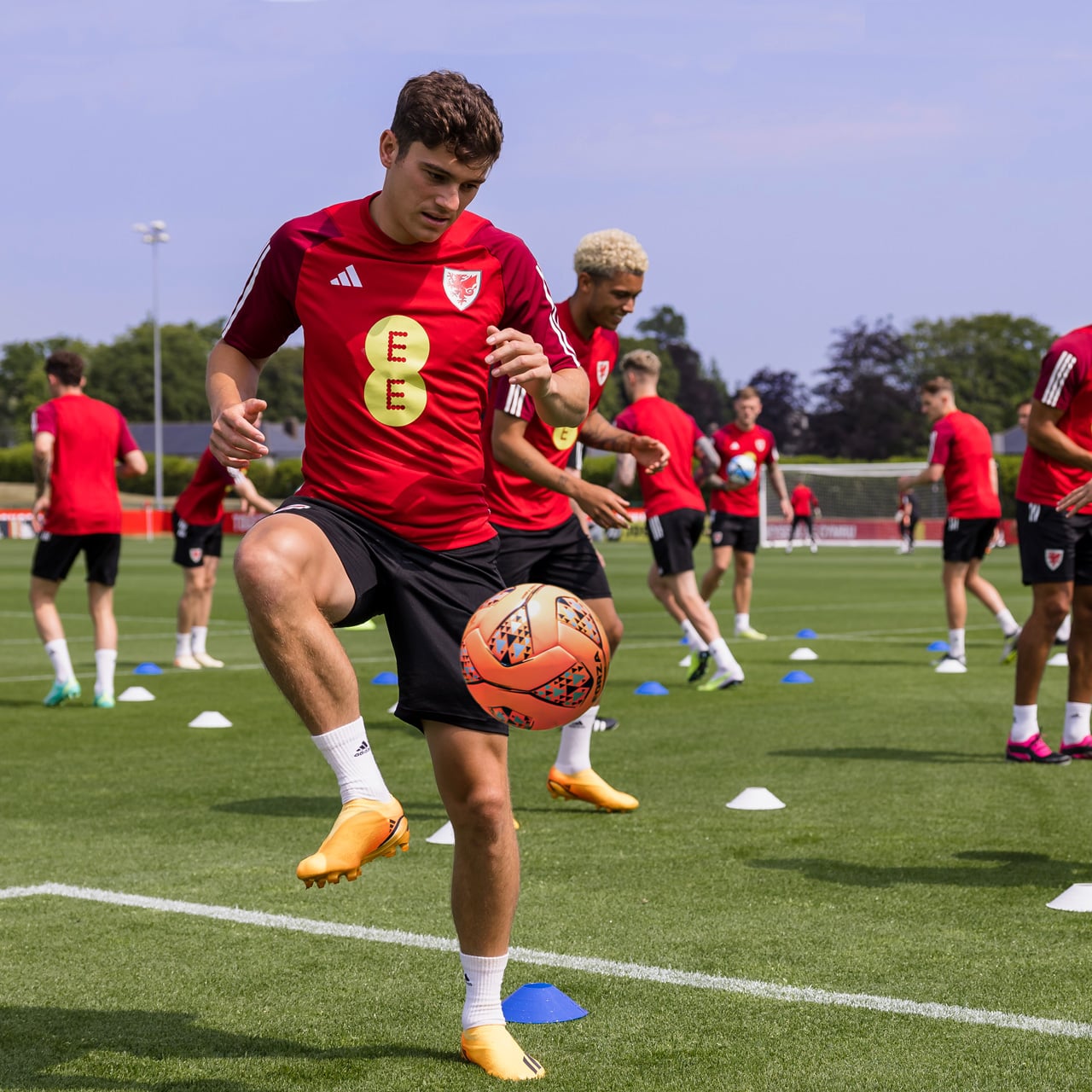 Soccer Balls