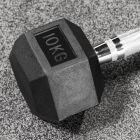 Metis Hex Dumbbell Weights | Net World Sports