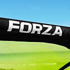 FORZA Beach Pod Goal