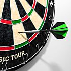 PINPOINT Beginner Dartboard (Classic Tour)
