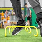 Full Size Flex Basketball Hoop