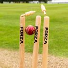 Ashwood Cricket Bails 
