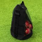 Easy Carry Bag For Cricket Balls | Net World Sports