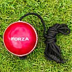 Leather Cricket Balls On A String For Juniors