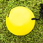 Plastic Cricket Balls On A String For Juniors