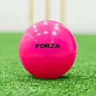 FORZA Cricket Wind Balls