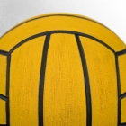 water polo training ball