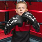 Boxing Gloves for Kids