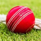 Leather Cricket Balls With Traditional Seam