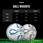 Lite & UltraLite Footballs