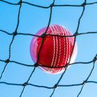 Garden Cricket Ball Nets