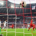5mm Striped Stadium/Box Nets [3x Colour Options] | Net World Sports
