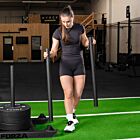 Removable Sled Upight Poles