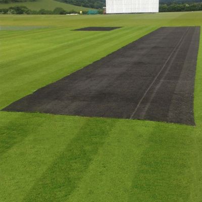 Cricket Germination Sheets [59ft x 6ft]