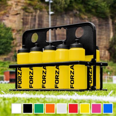 10 Water Bottles (25fl oz) & Foldable Bottle Carrier