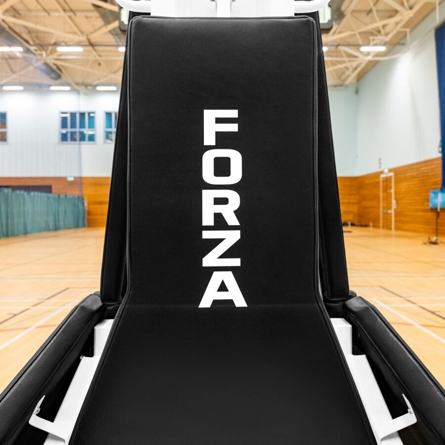 Adjustable PROFESSIONAL LEAGUE BASKETBALL GOAL SYSTEM
