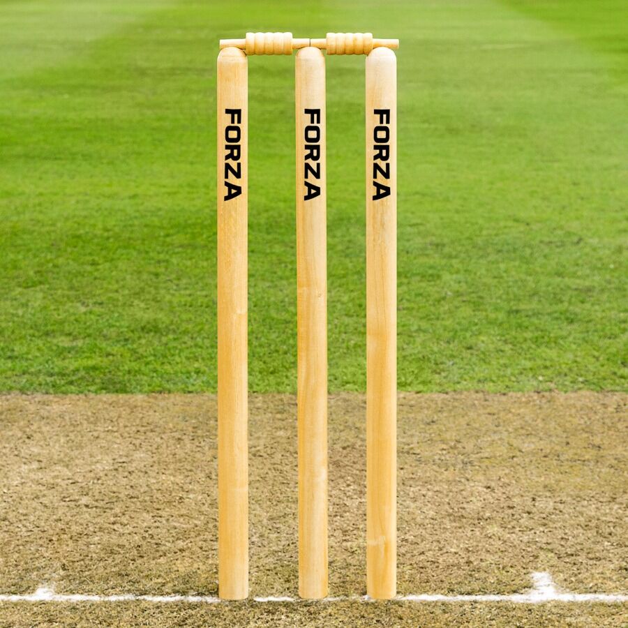 Club Standard Wooden Cricket Stumps | Net World Sports