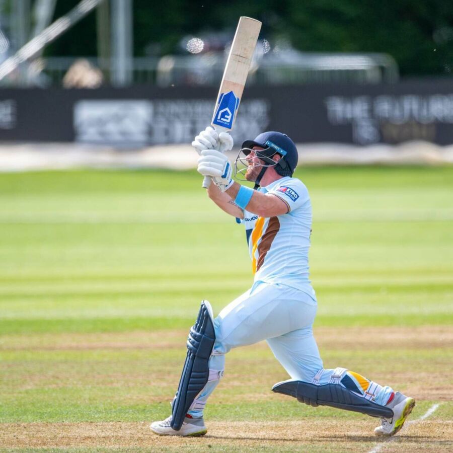 FORTRESS English Willow Cricket Bat [4 Grades]