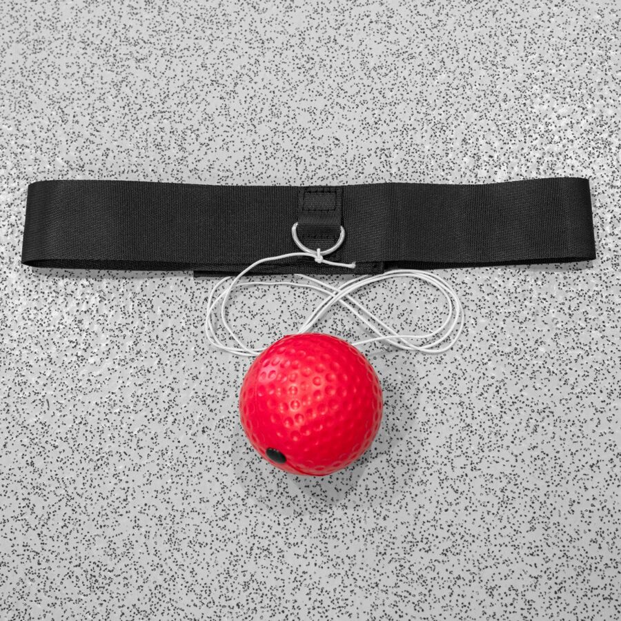 Reflex Training Equipment for Boxers