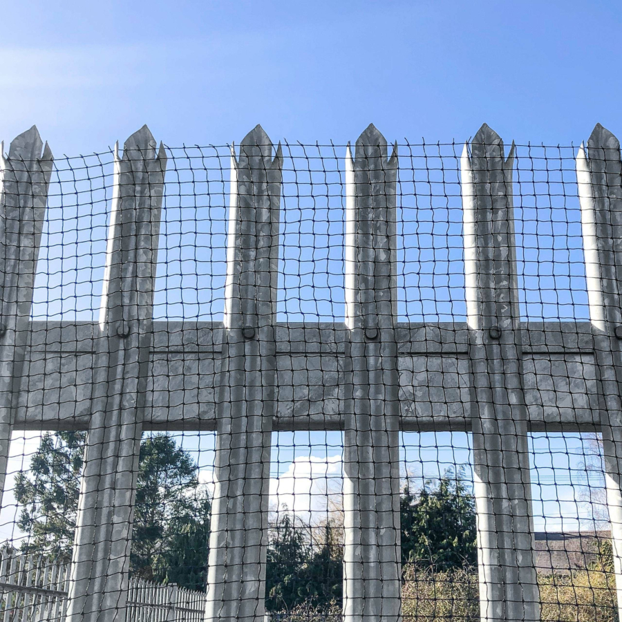 Buy Anti Bird Netting