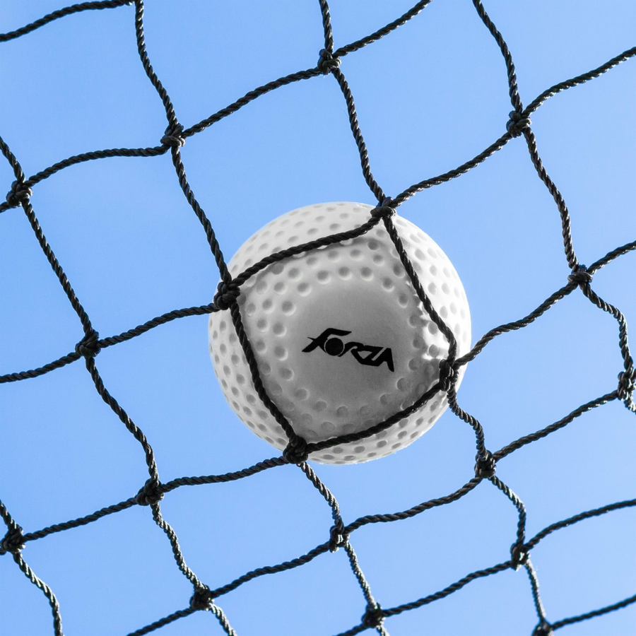 Hockey Ball Stop Netting | Net World Sports