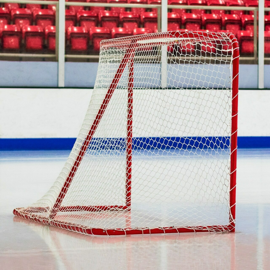 FORZA Regulation Ice Hockey Goal & Net
