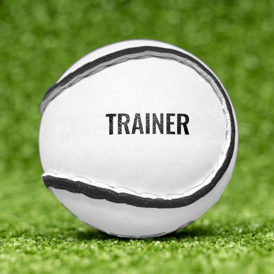 FORZA Training Hurling Ball | Net World Sports