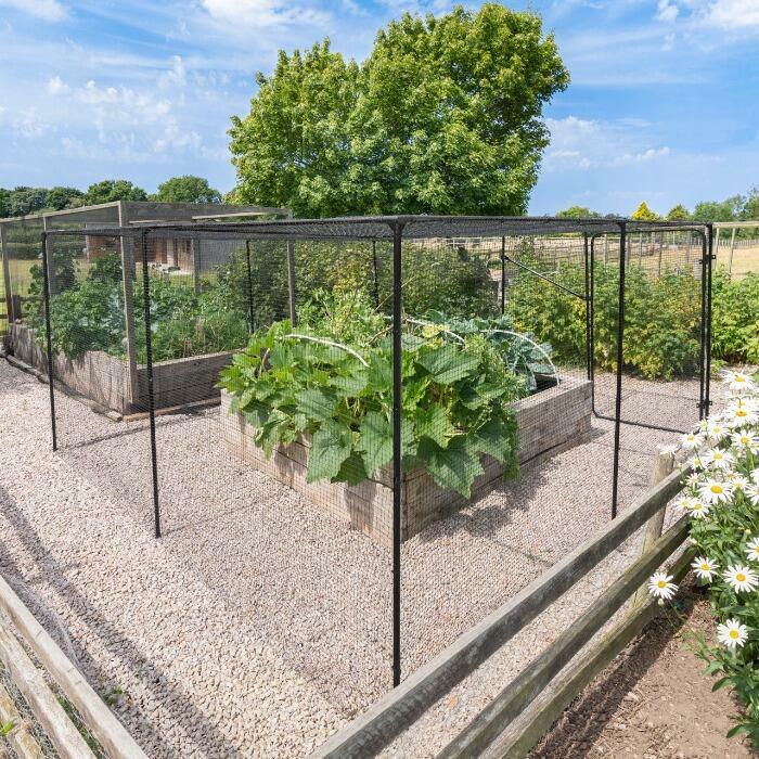 Walk In Fruit Cages | Vegetable Cages For The Garden