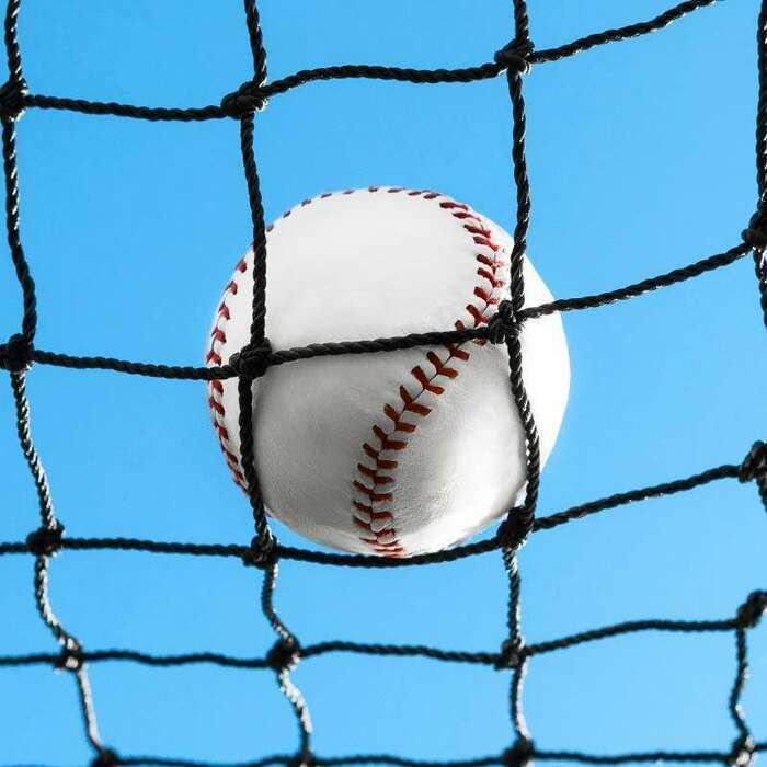 20′ Telescopic Pole – All Sport Netting