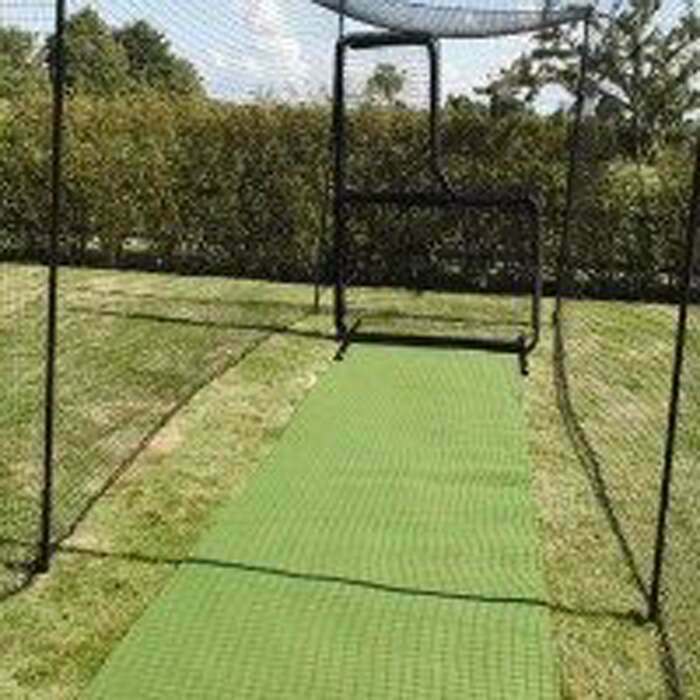 batting cage turf