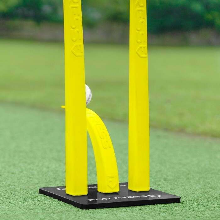 Cricket Stumps Target