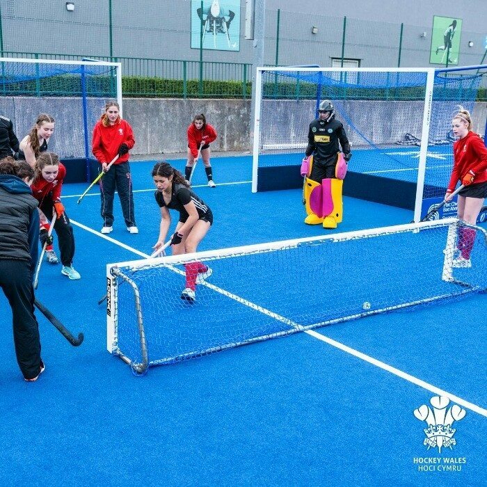 Hockey Goal Netting