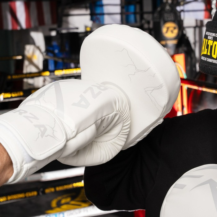 Shock Absorbing Boxing Pads