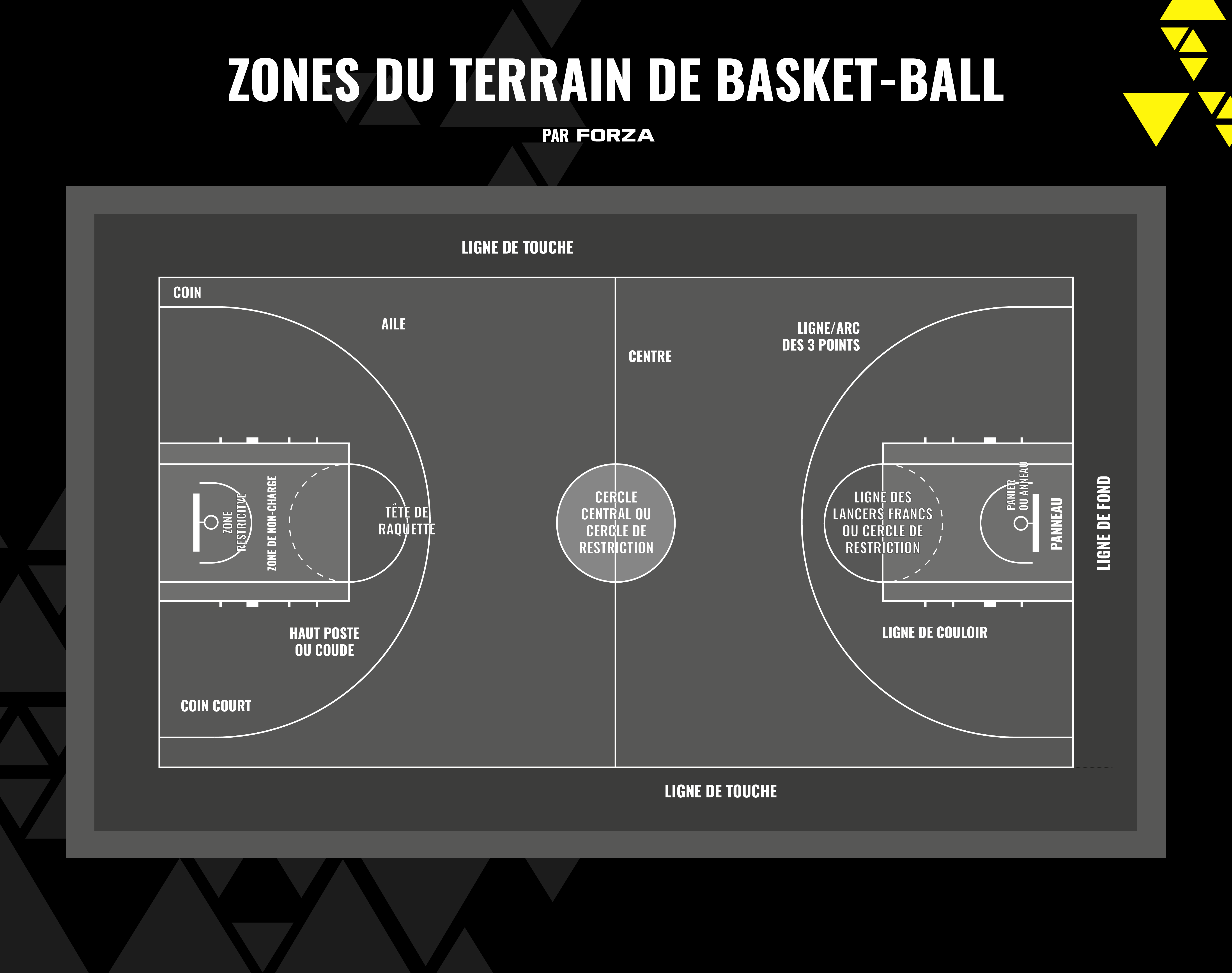 Basketball Court Areas & Zones