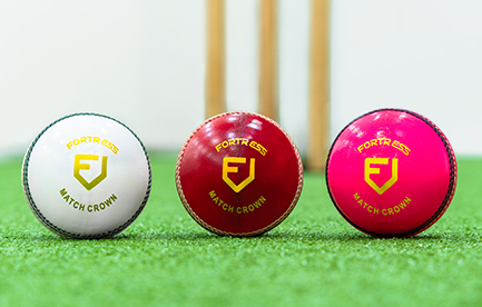 Cricket ball guide