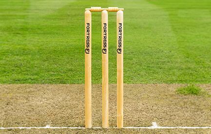 cricket pads